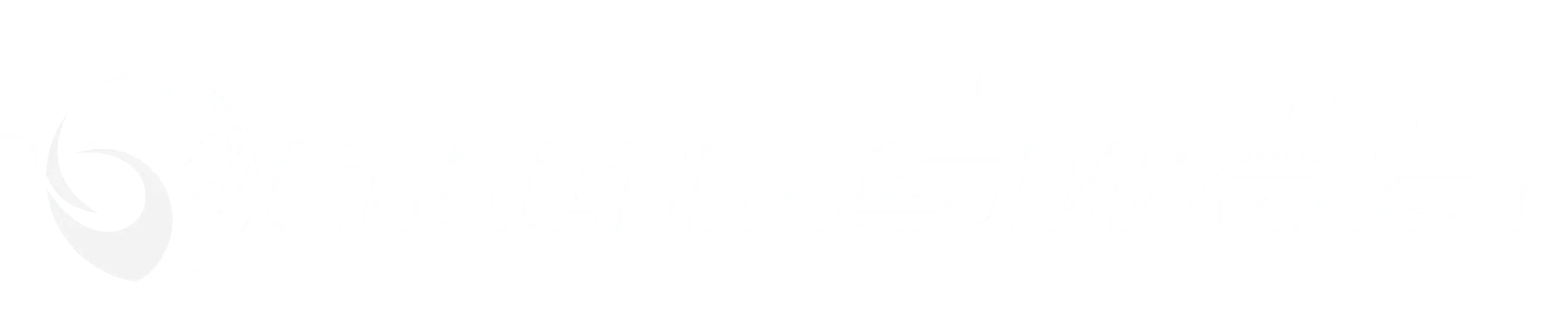 lotto plus